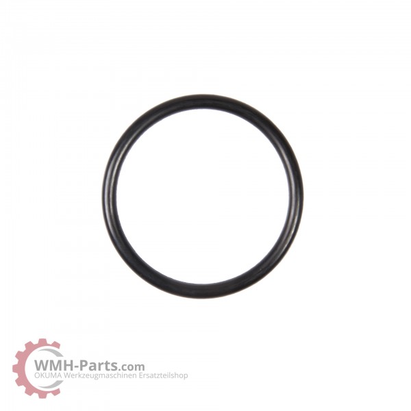 P40 O-Ring