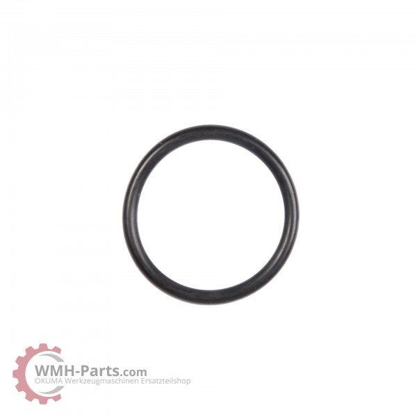 P34 O-Ring