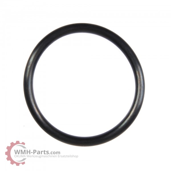 P60 O-Ring
