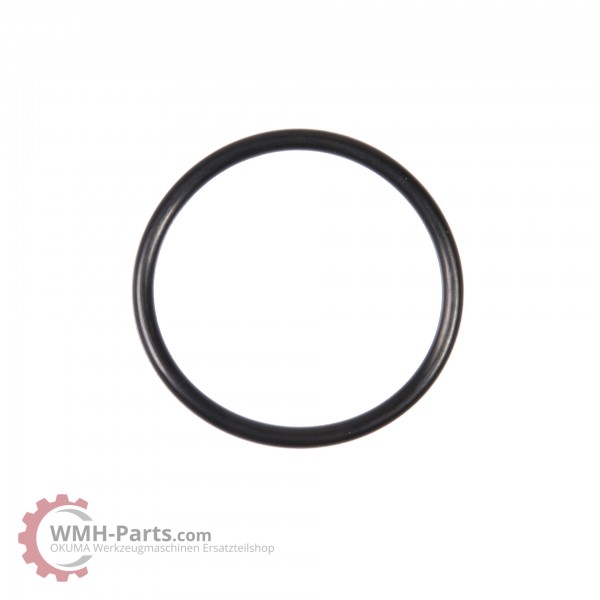 P45 O-Ring