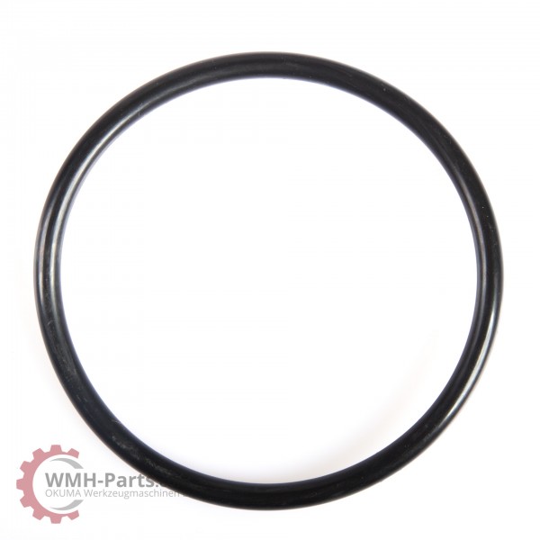 P85 O-Ring