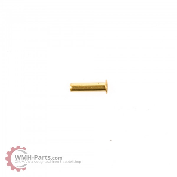 Showa Einsteckhülse, Tube Inserts 4 mm für Okuma Schmierung