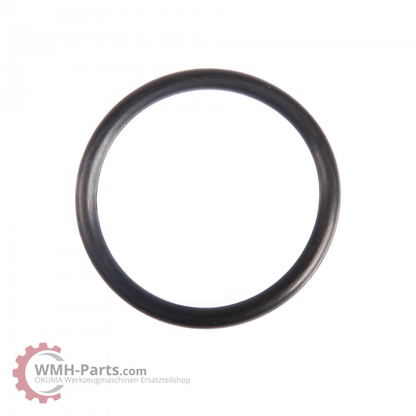 P36 O-Ring