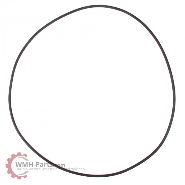 G395 O-Ring