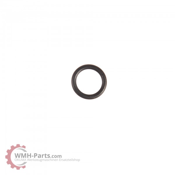 P10 O-Ring