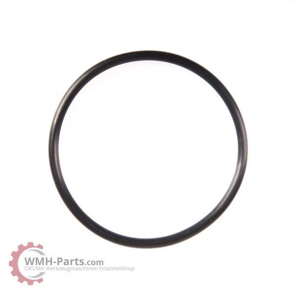G55 O-Ring